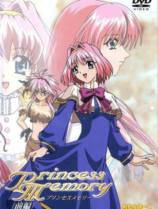 Princess Memory